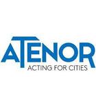 Atenor